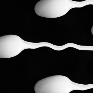 Testicular massage fertility