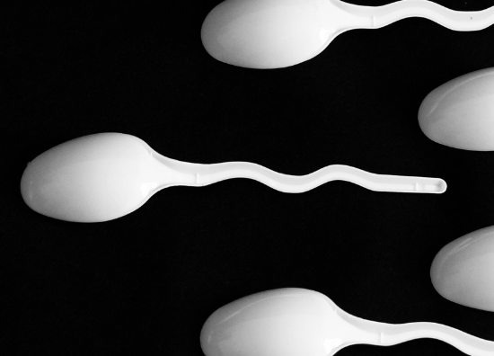 Testicular massage fertility