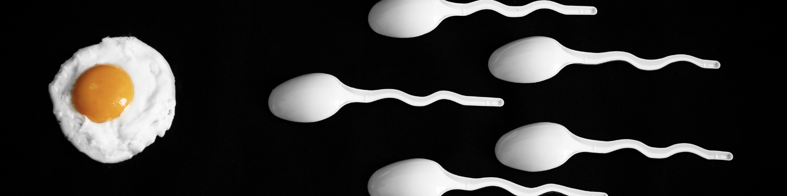 Testicular massage fertility