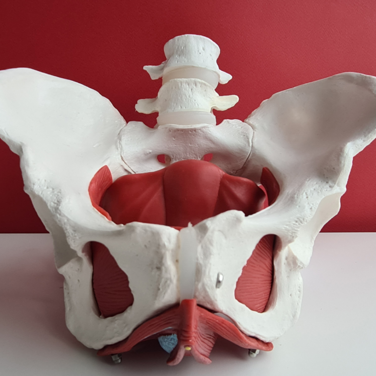 Pelvic floor tension