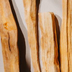 Morning wood explain