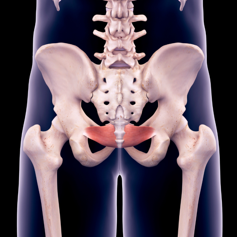 Anal play can support pelvic health